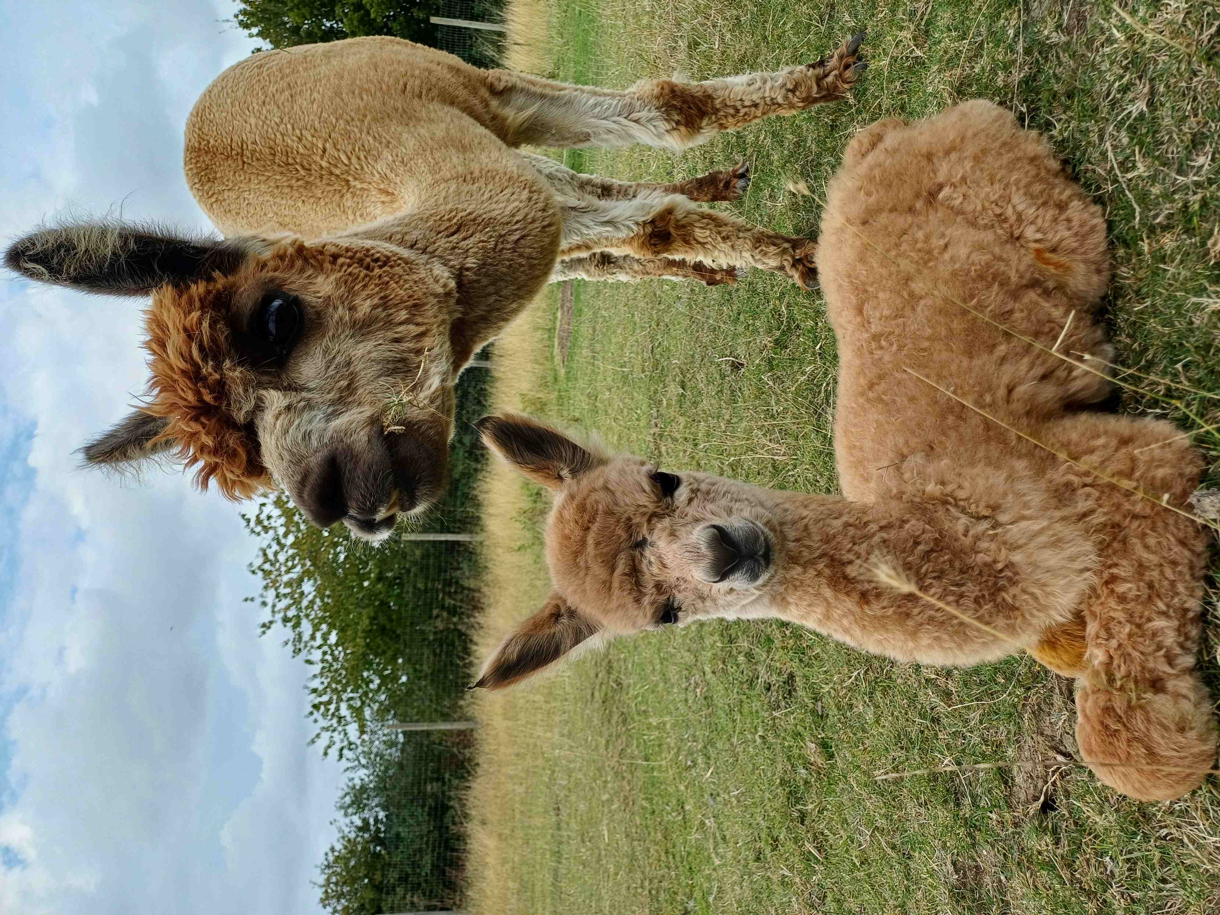 Fuzz Lightyear with his mum Fudge