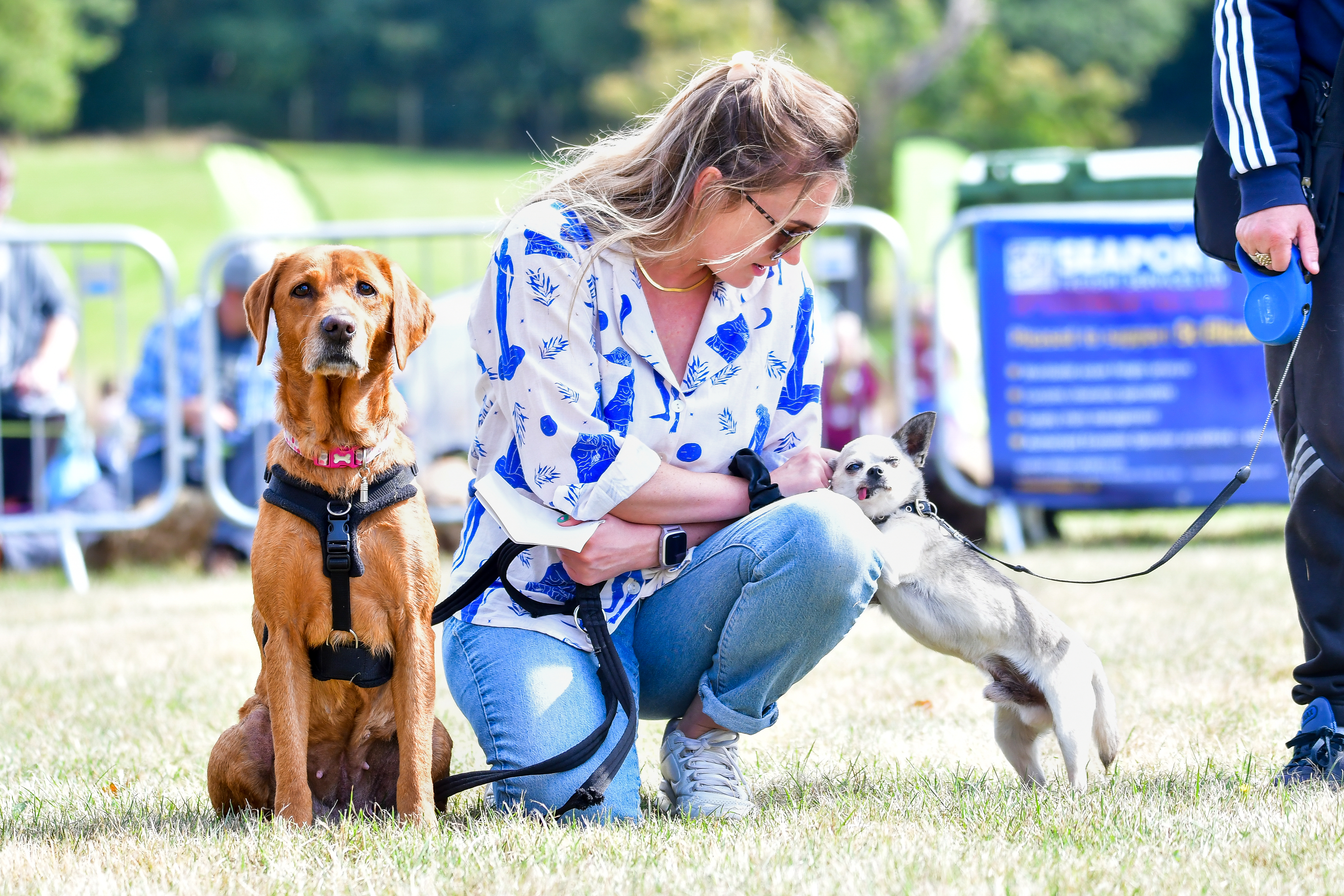 A female owner with her two pet dogs