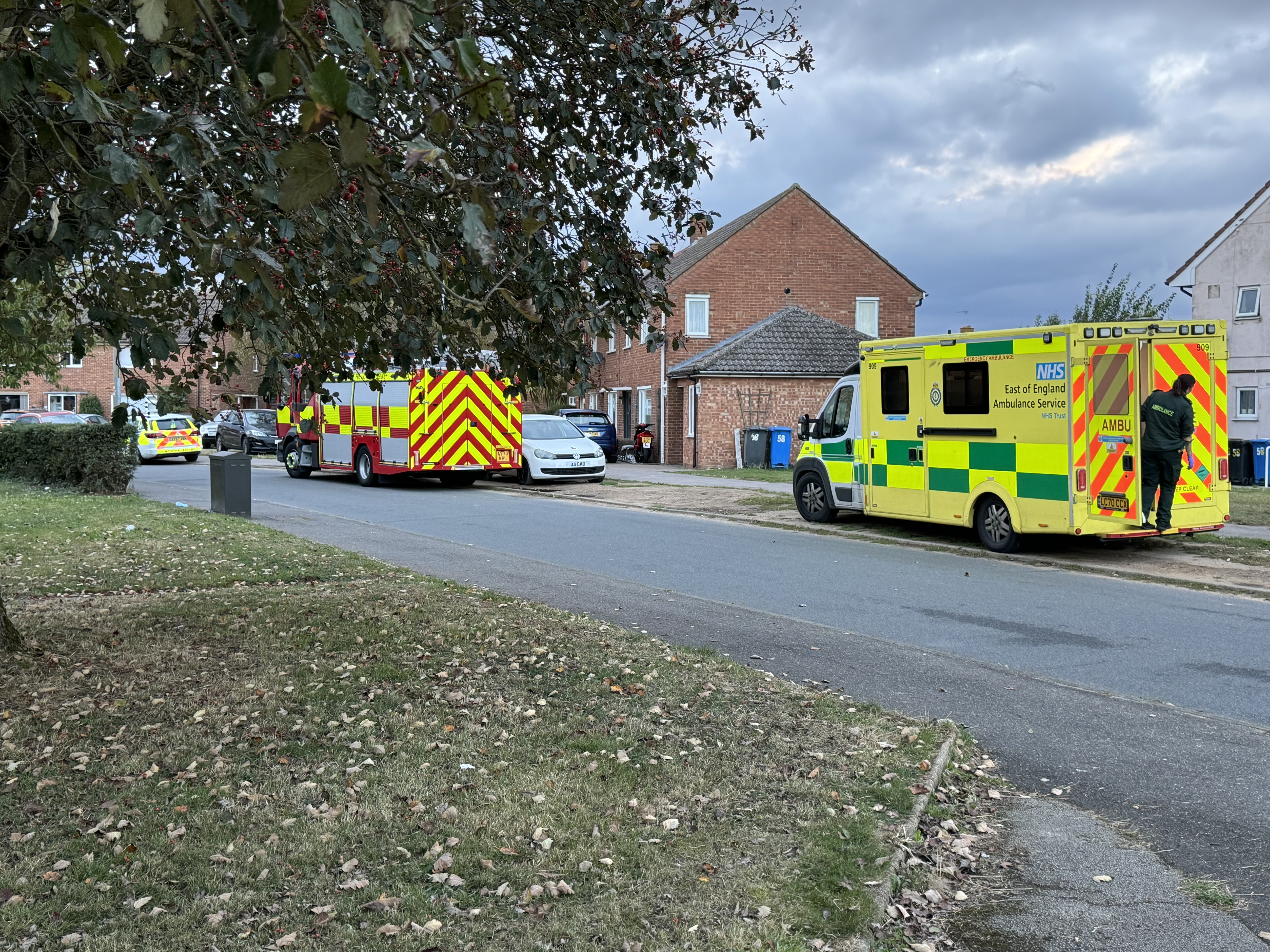 Emergency services at the scene in Sheldrake Drive