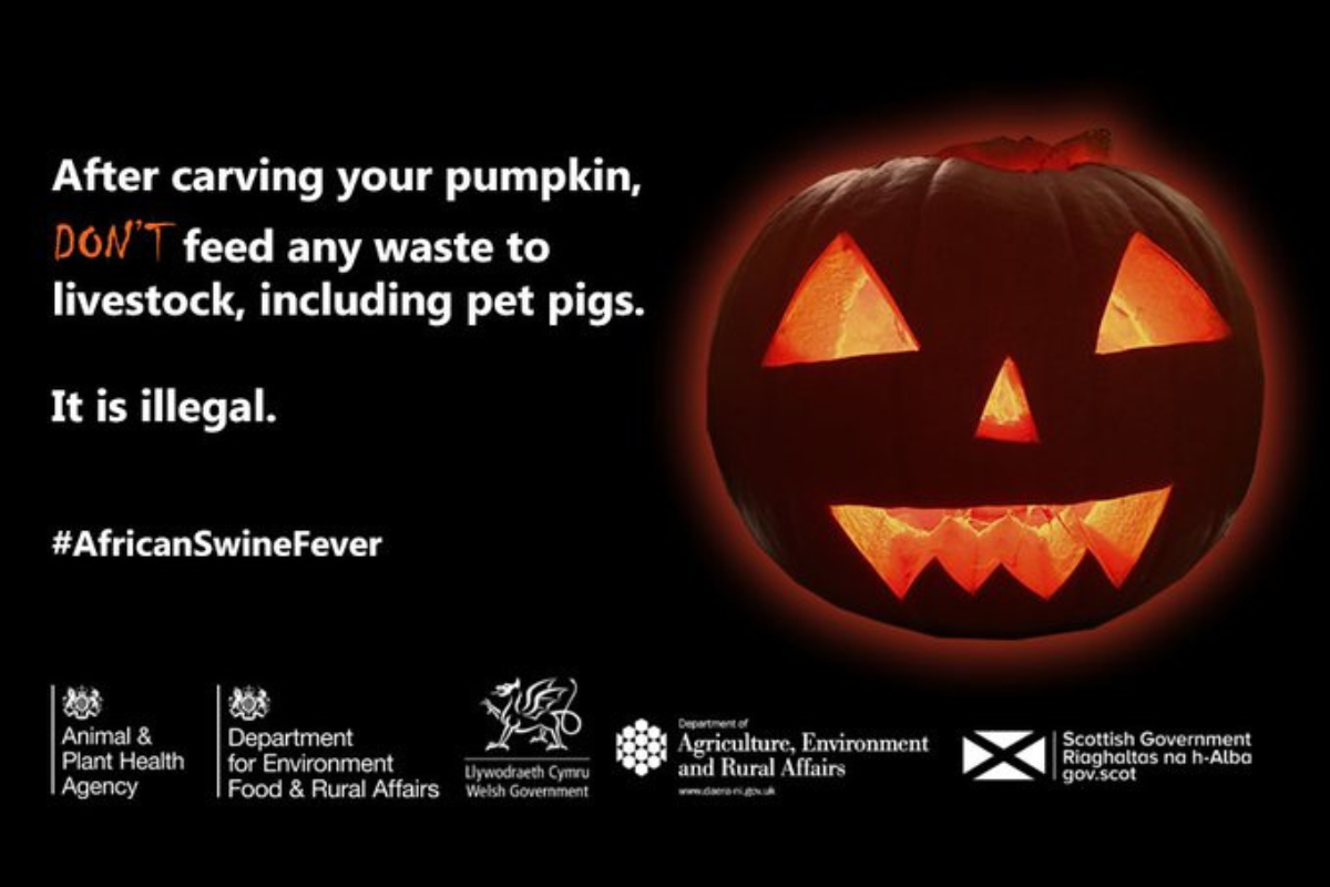 An advert from the Department for Environment, Food & Rural Affairs asking people not to feed discarded pumpkins to livestock