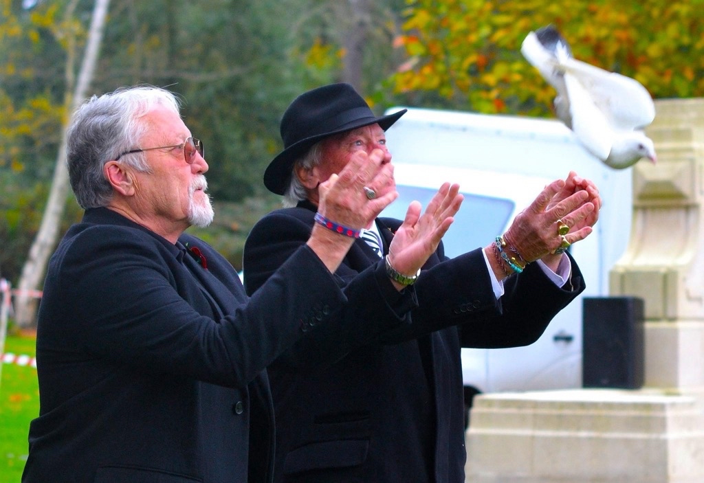 A single white dove being released