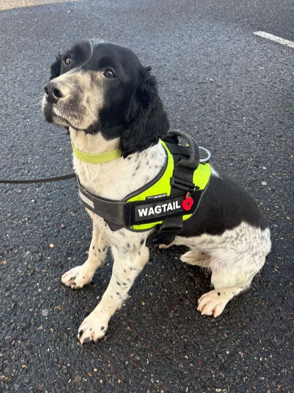 Sky assisted police and trading standards with the operation