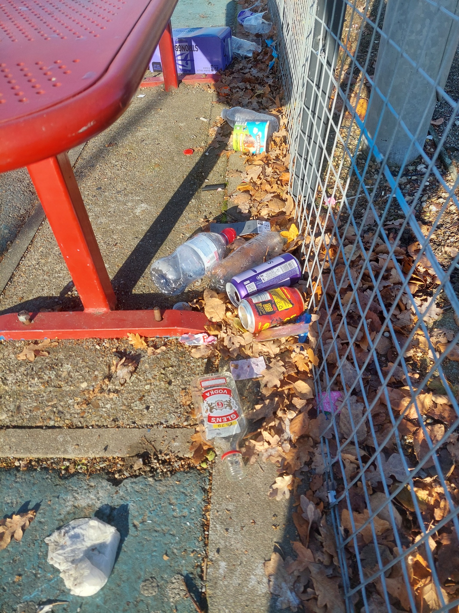 Empty vodka bottles, cider cans, soft drink containers and plastic cups were strewn across the floor of Hawthorne Drive basketball court in Ipswich