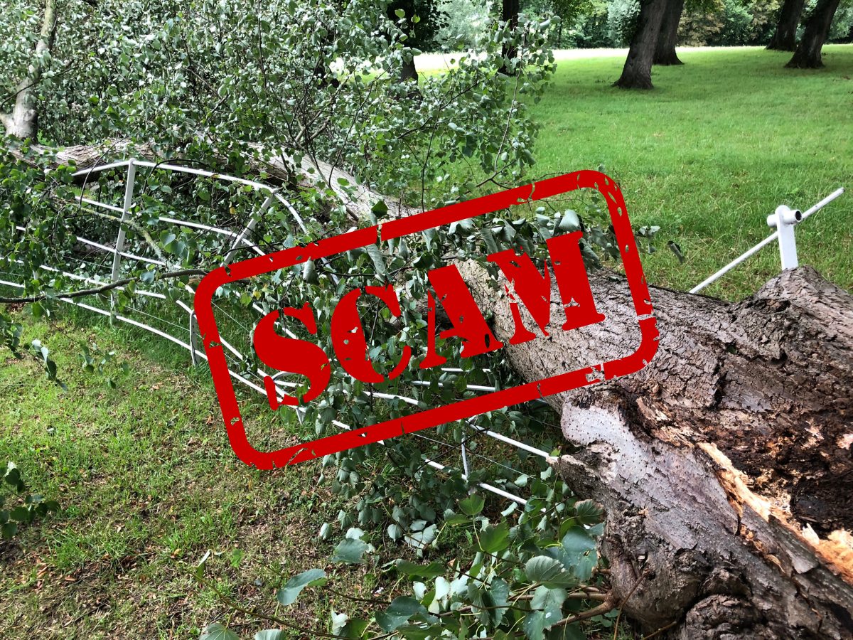 Storm damage scam