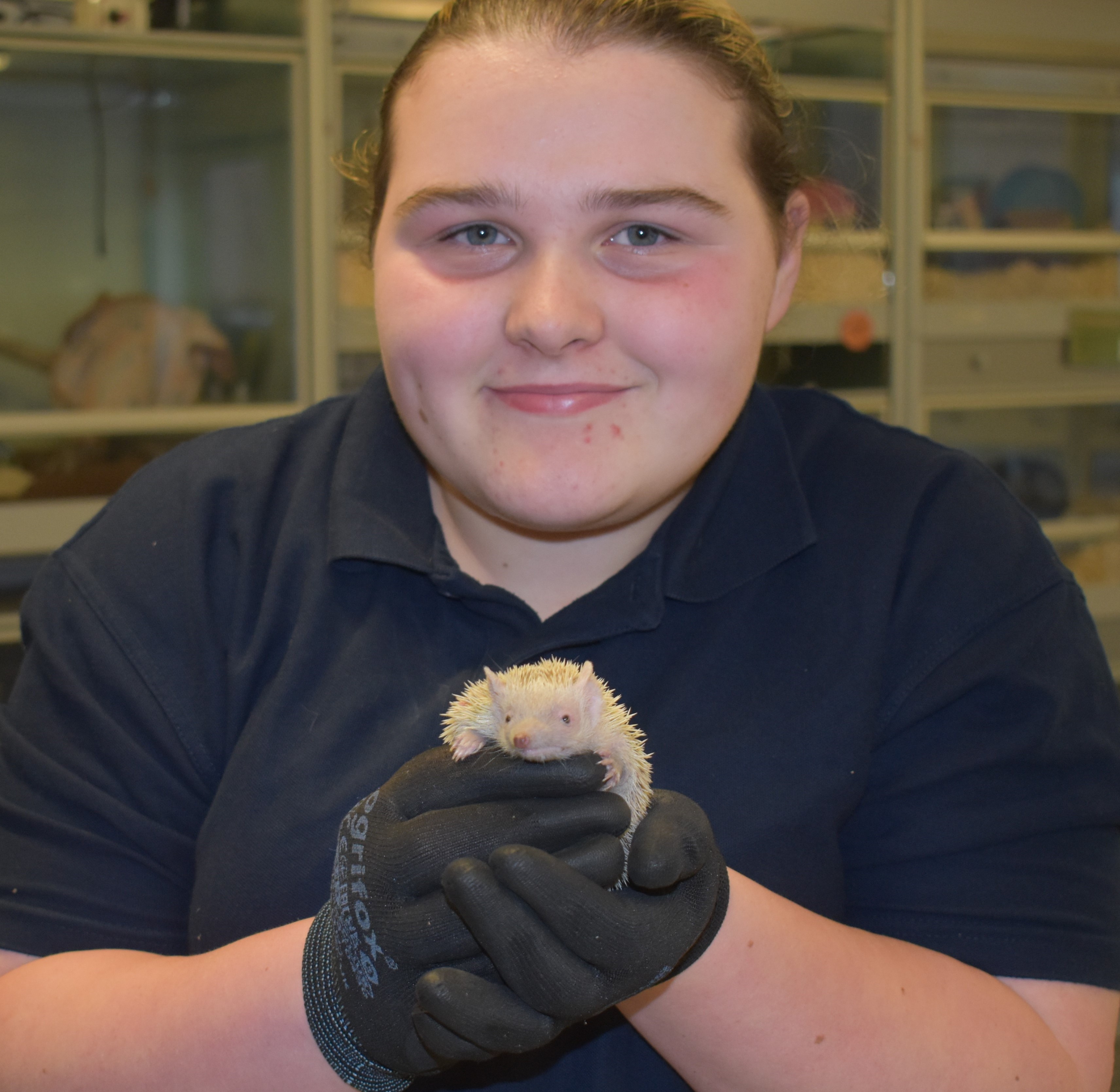 Suffolk Rural student Chloe Coates from Ipswich holding Cheerse, a Tenrec from Africa