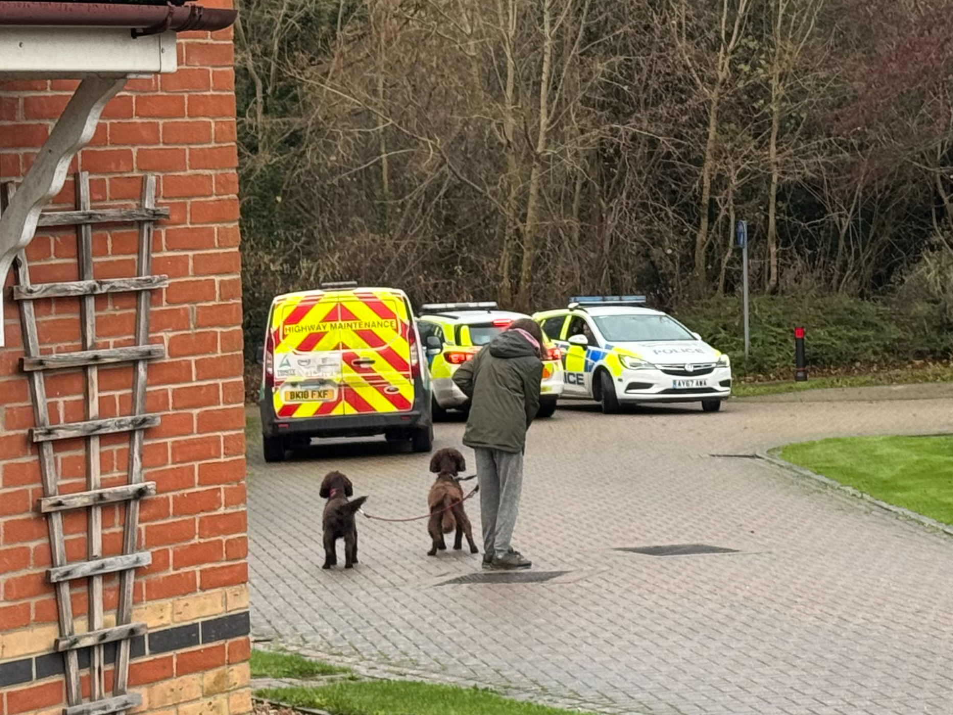 Police on Admiral Road in Ipswich