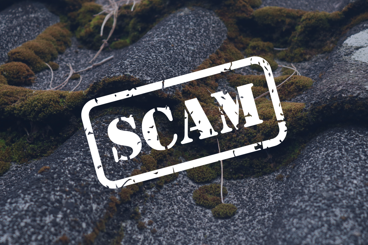 Mossy roof scam