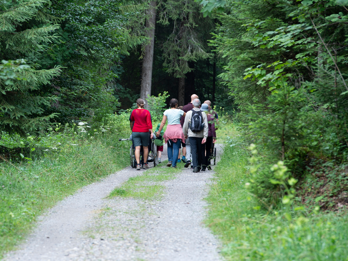 A group of people, including two wheelchair users, on a walk in the forest