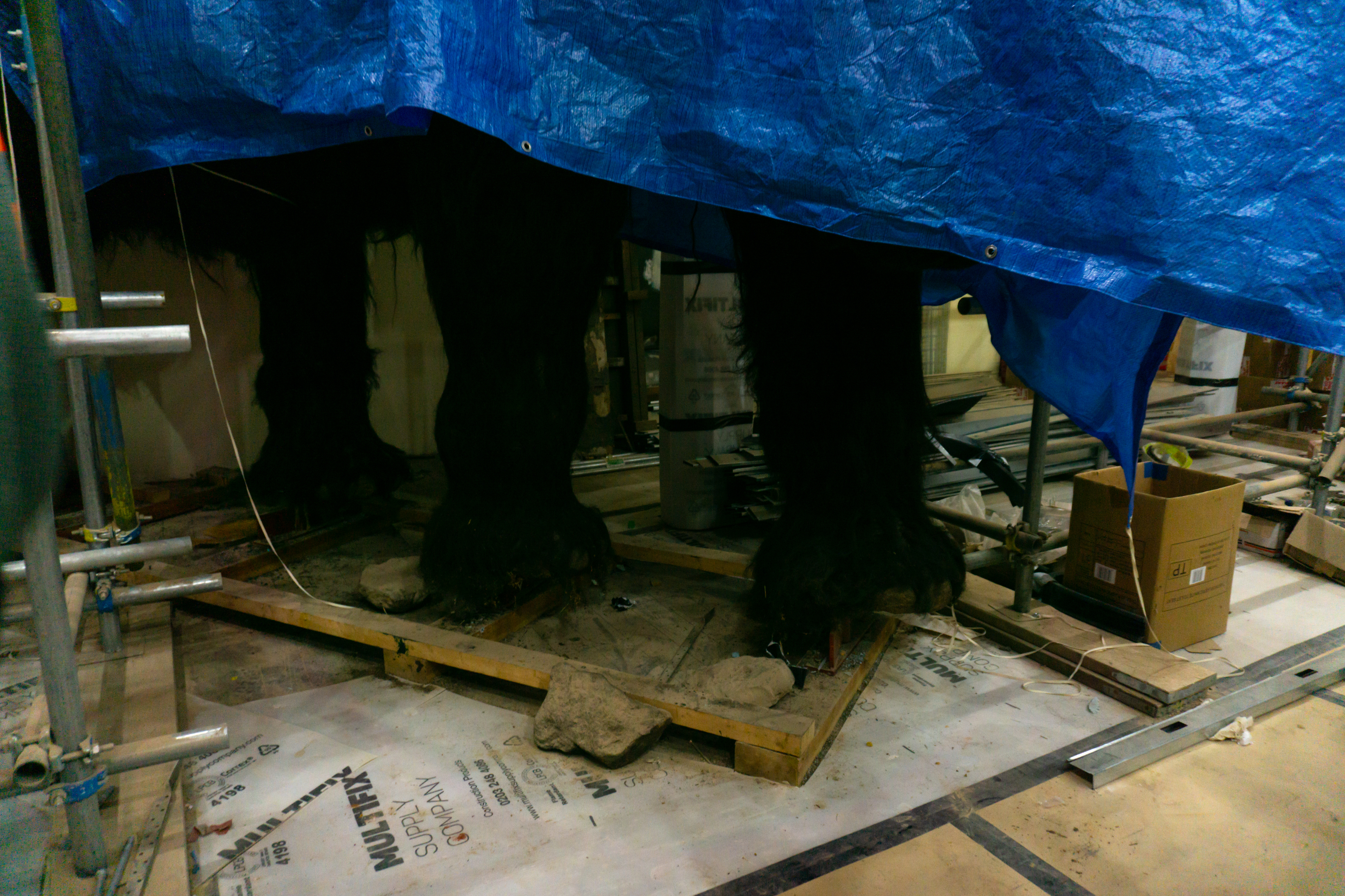 Too big to remove, workers have to carefully work around the full-size woolly mammoth