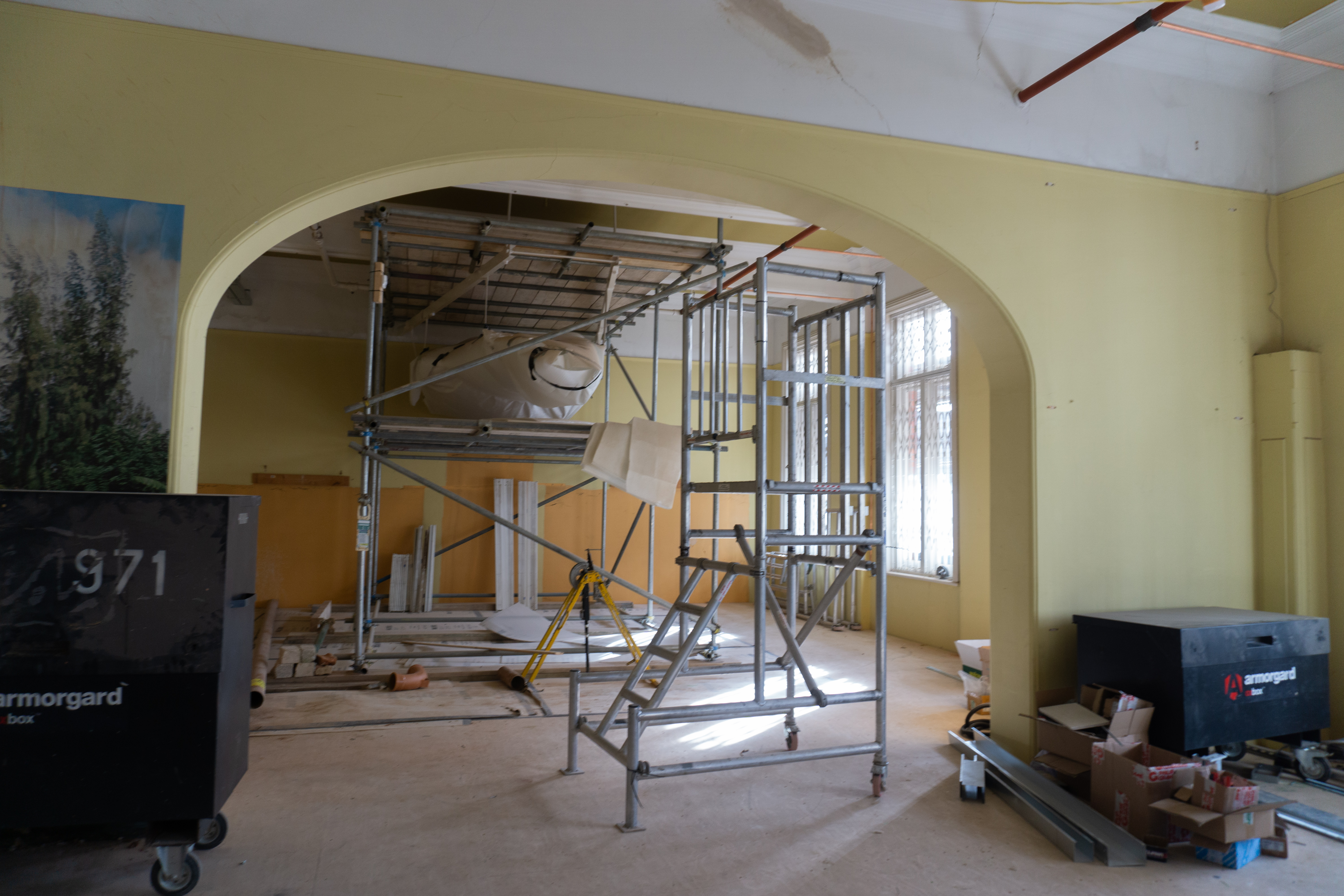A whale's skull remains suspended from scaffolding so workers can work around it