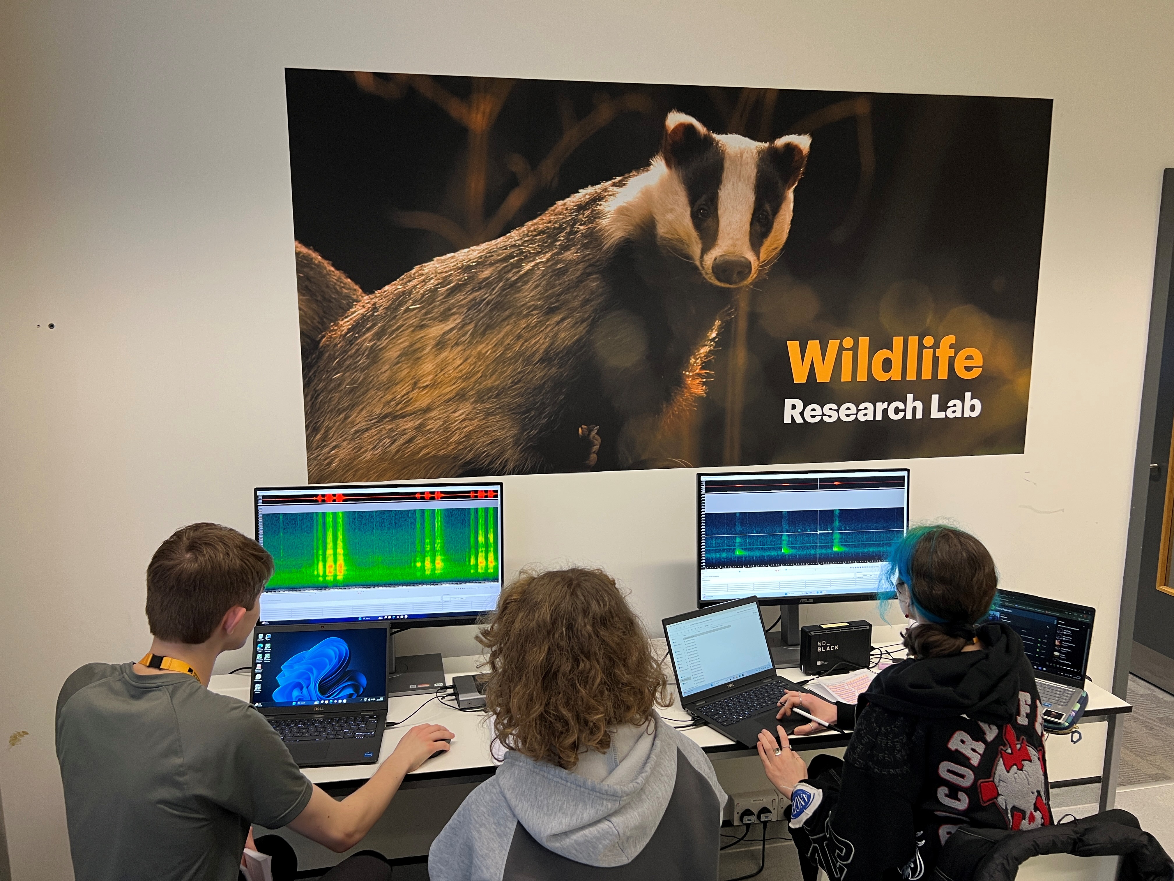 University of Suffolk Wildlife, Ecology and Conservation Science students Daniel Beckett, Grace Tinklin and Skye Landells analysing the audio recordings