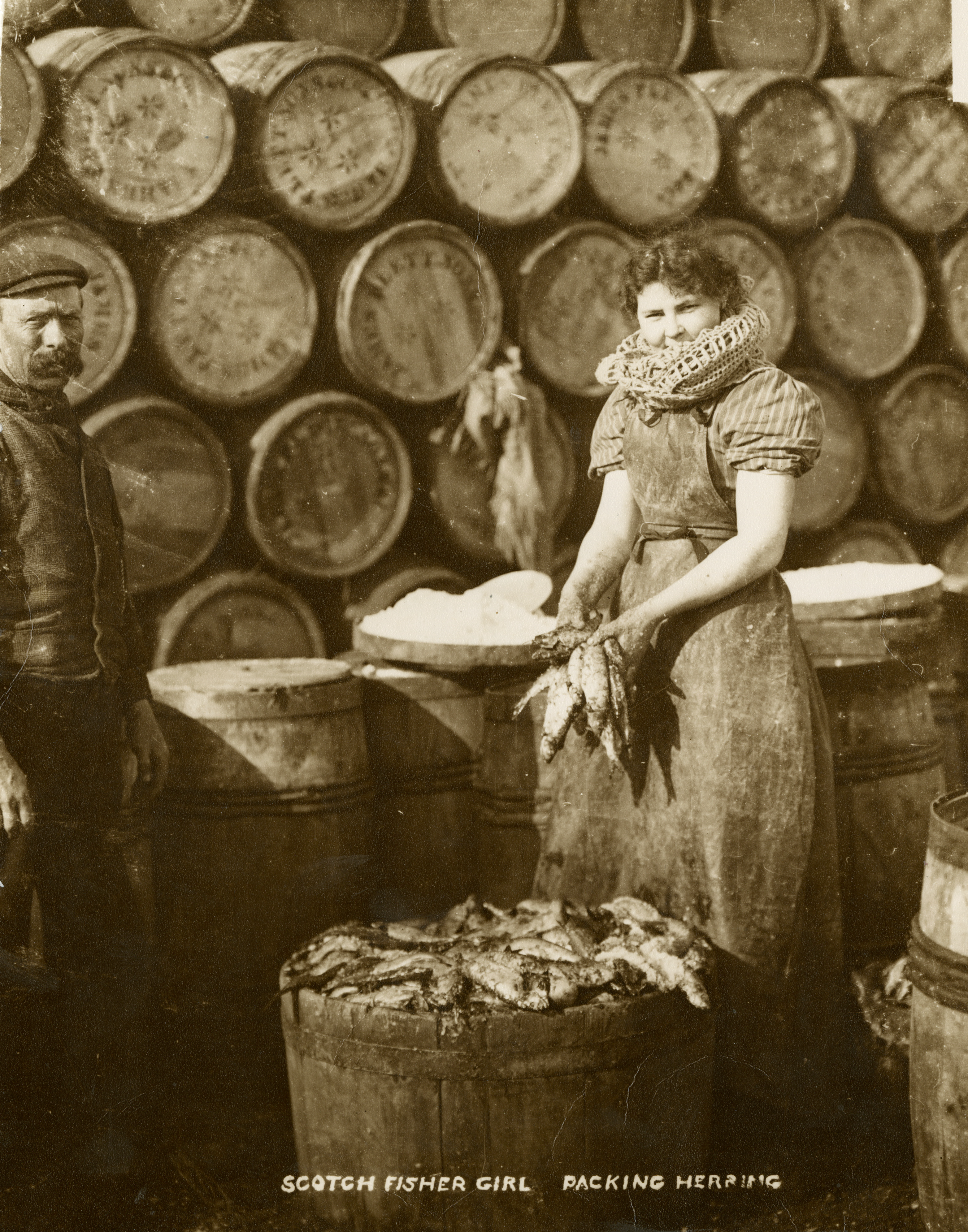 Scottish fisher girl packing herring