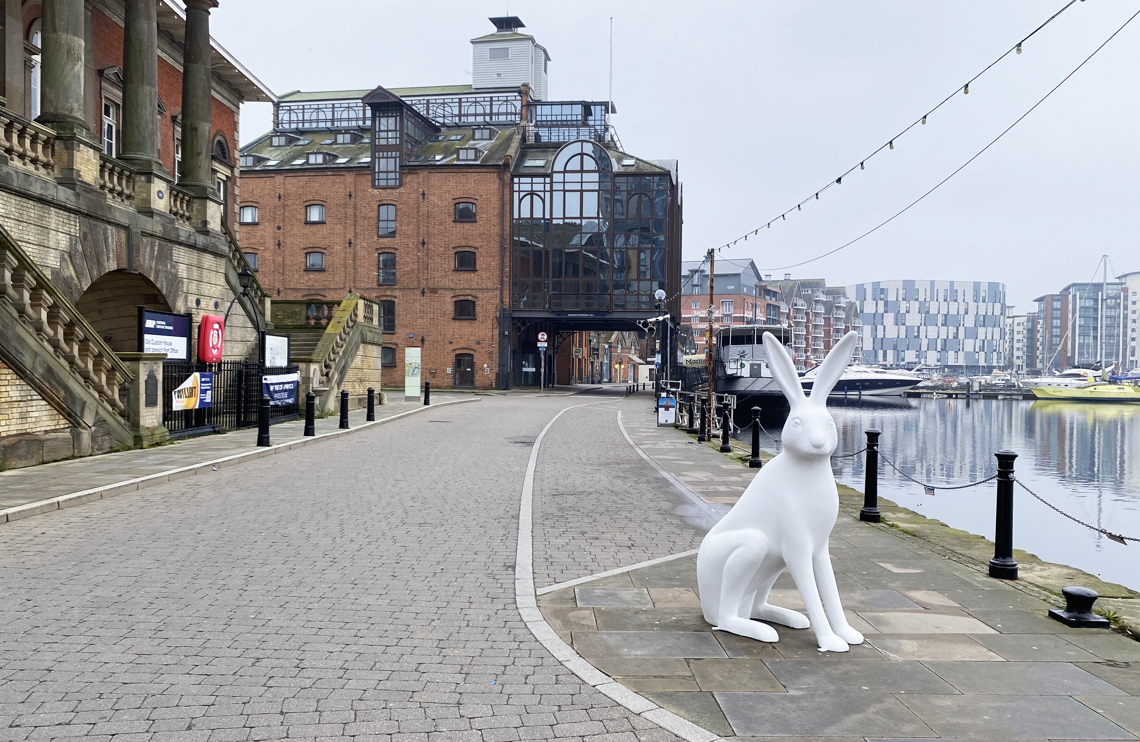A hare on the waterfront in Ipswich