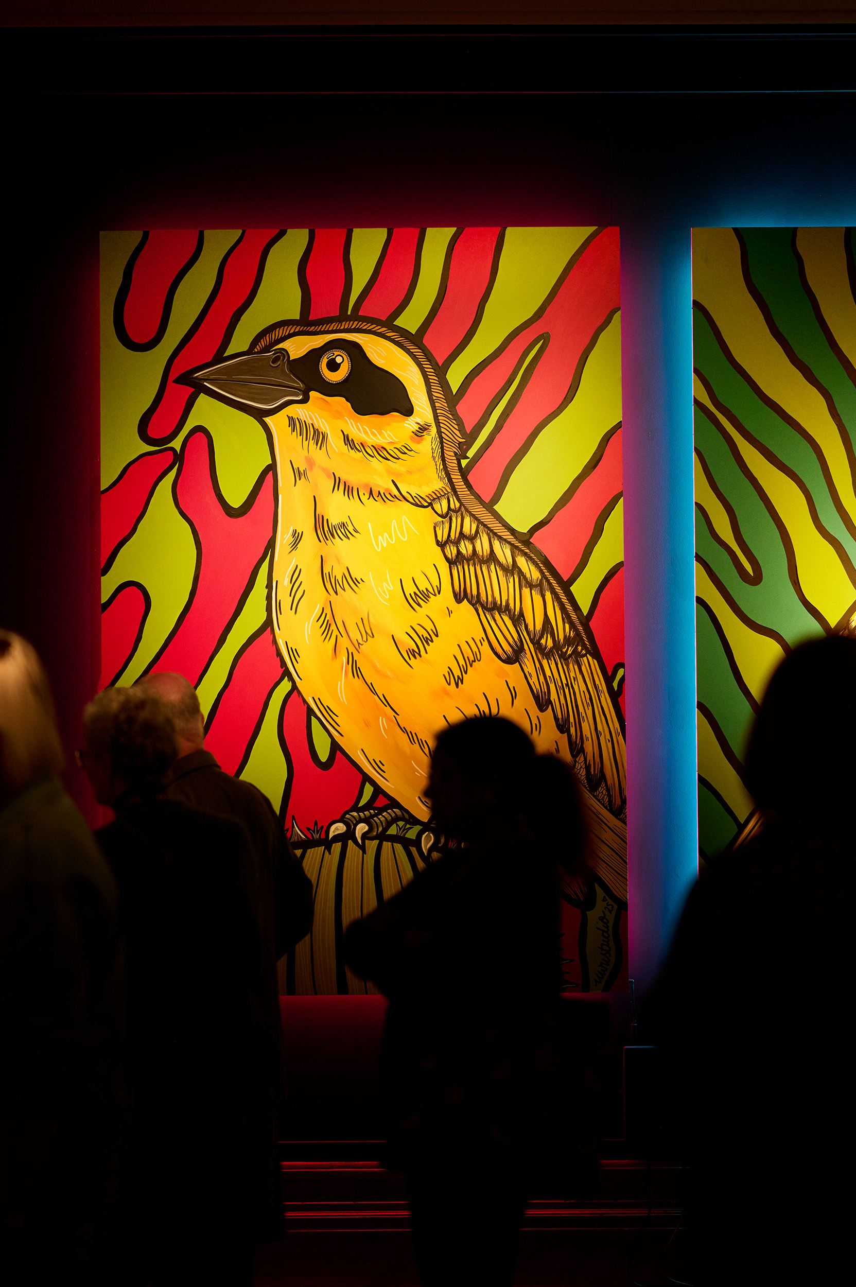 Lily Hammond's vibrant work takes centre stage in Colour, Shape, Pattern at Christchurch Mansion