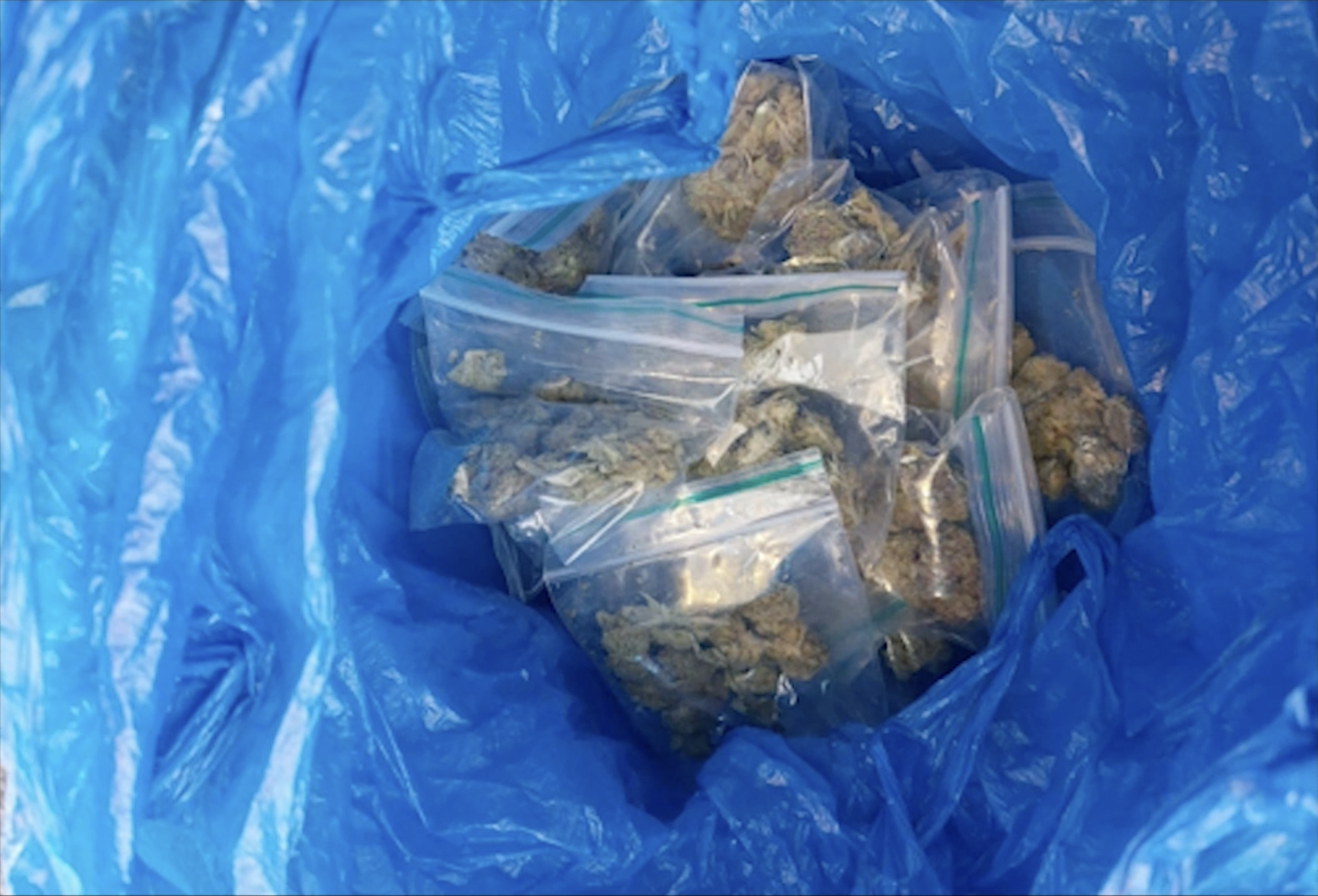 A quantity of cannabis was also seized by officers