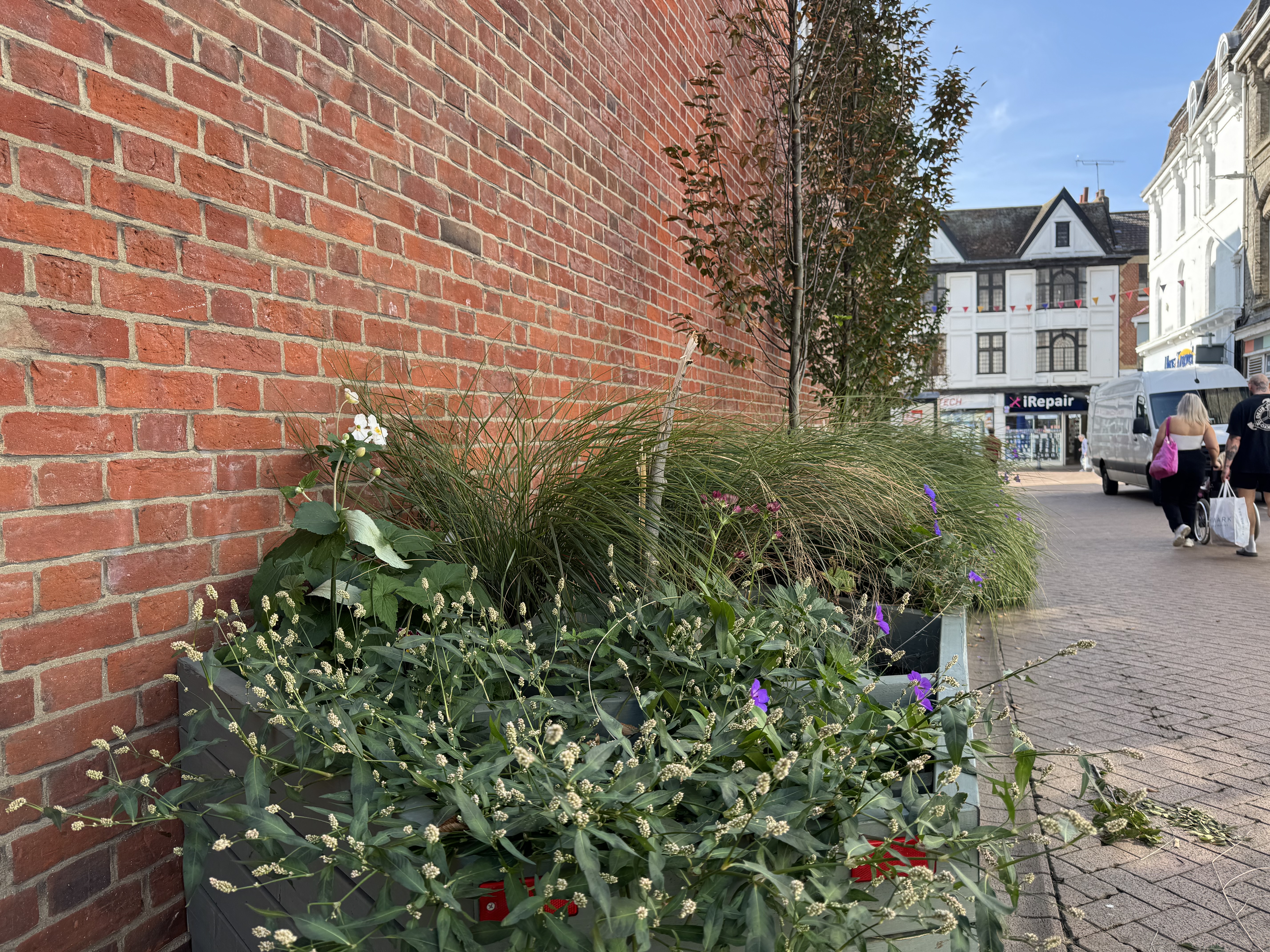 The young hornbeam was broken "deliberately and with force"