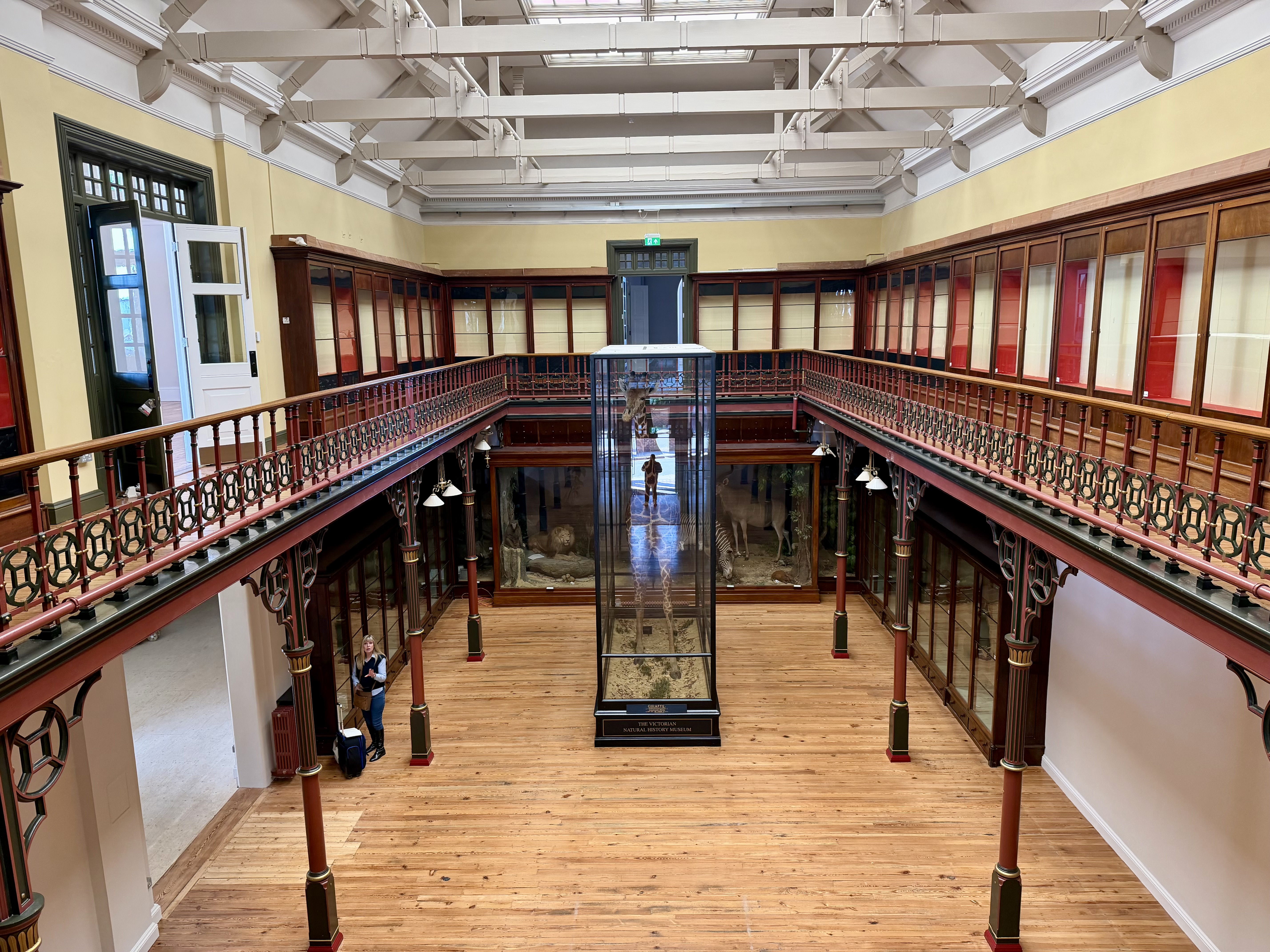 Inside Ipswich Museum in March 2026