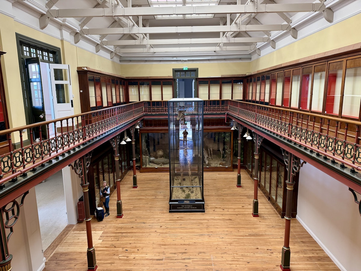 Inside Ipswich Museum in March 2026