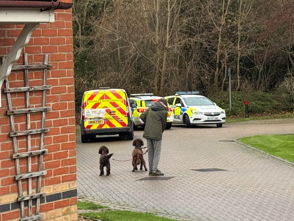 Police on Admiral Road in Ipswich