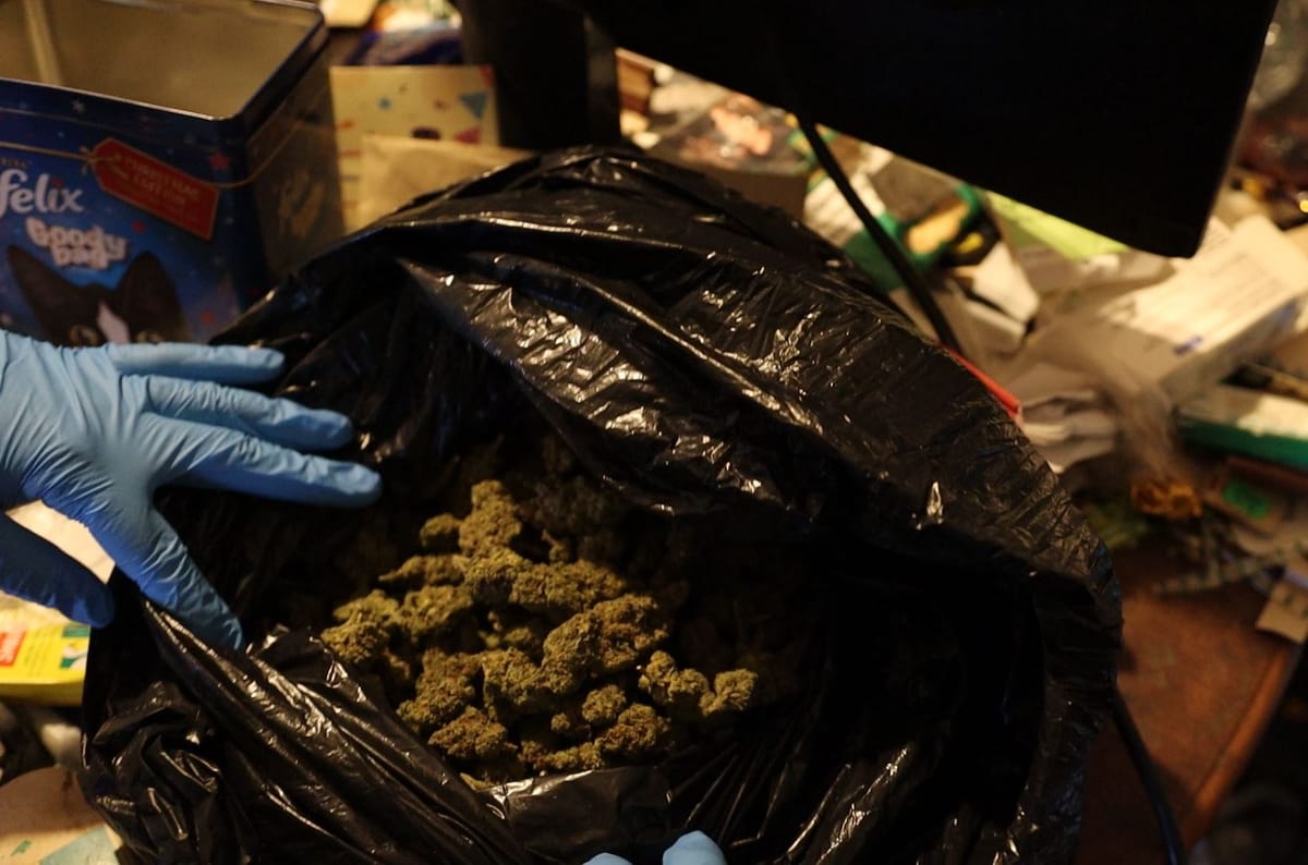 Cannabis seized by police officers