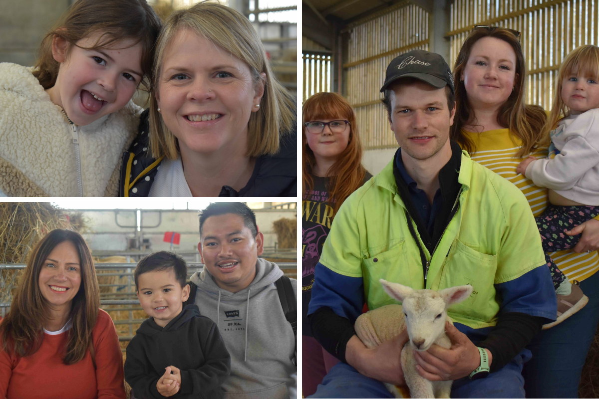 A collage of photos of people enjoying the Suffolk Rural Spring Family Farm Day