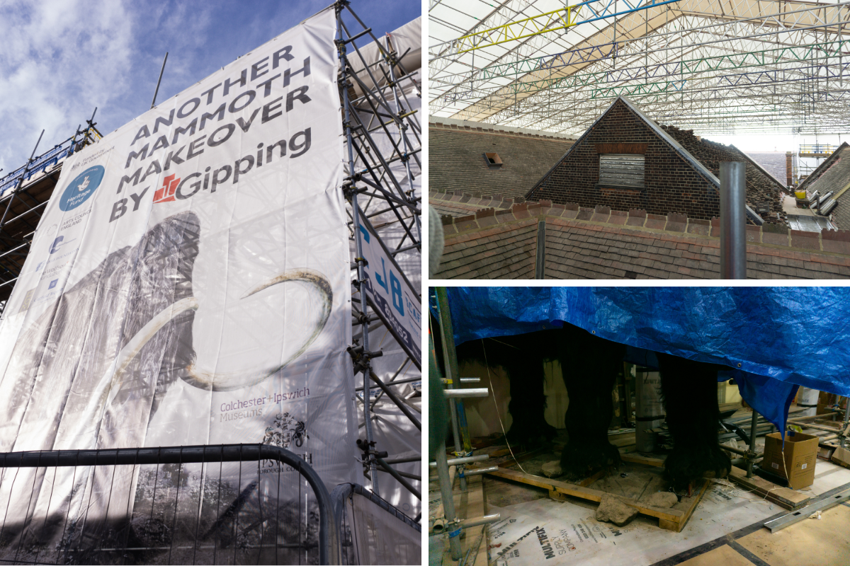 A collage of pictures of the Ipswich Museum renovation project