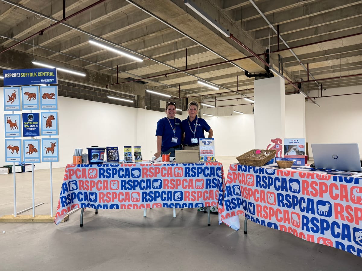 The RSCPA popup at the Buttermarket Centre in Ipswich