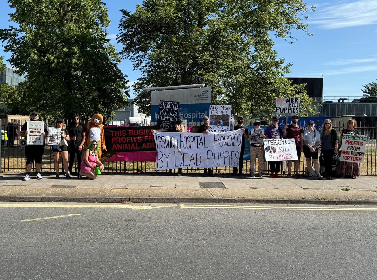Animal rights protestors gathered outside Ipswich Hospital