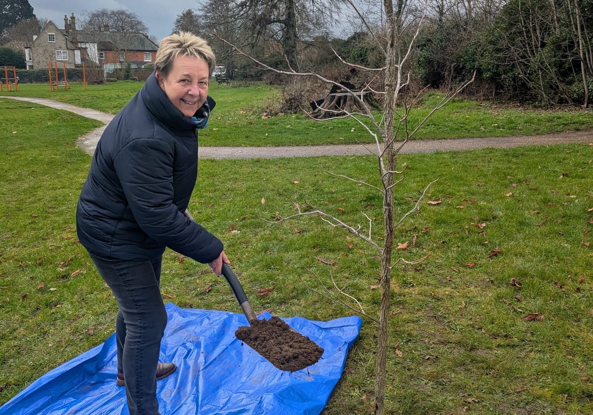 Councillor Lucy Trenchard planting a tree