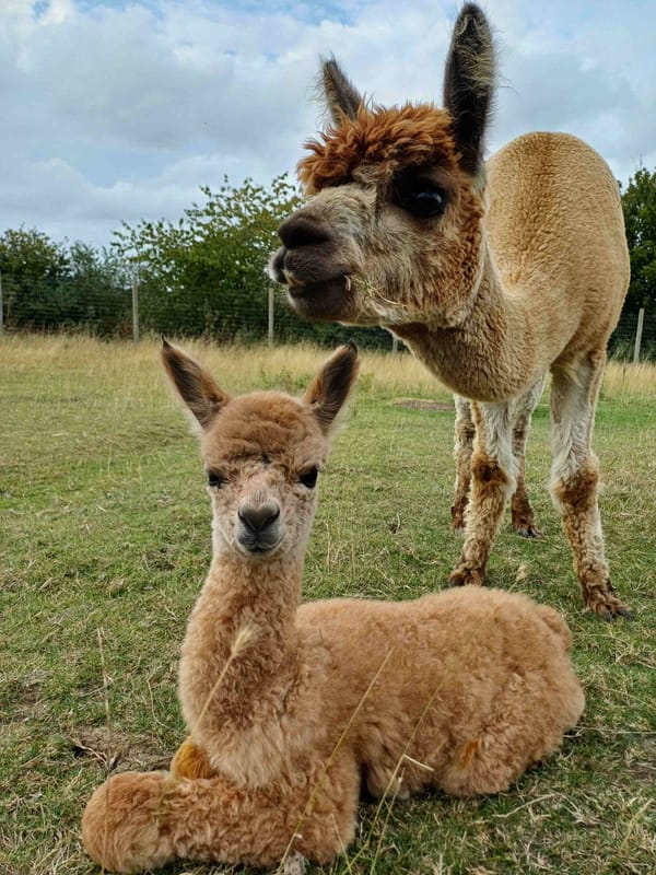 Fuzz Lightyear with his mum Fudge