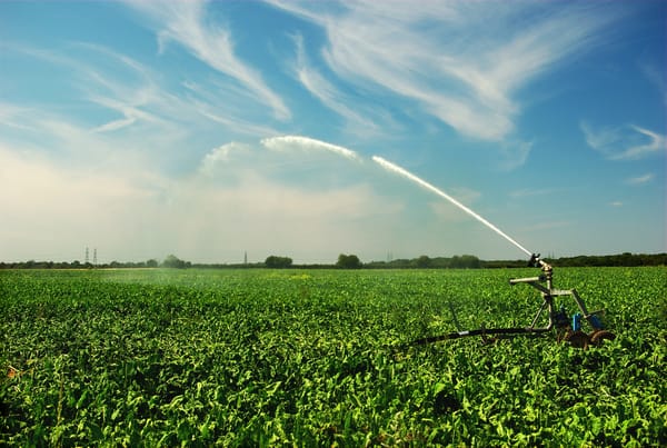 A field in Suffolk being sprayed