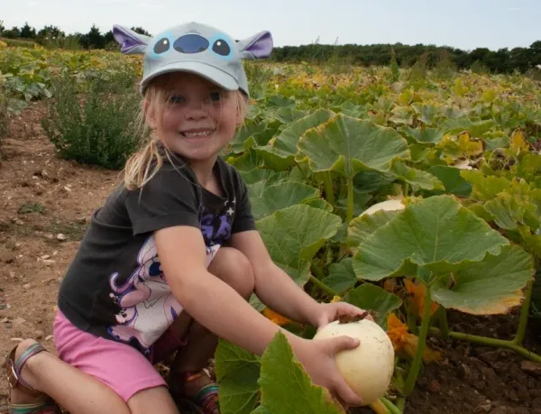Farmer John's Pumpkin Patch