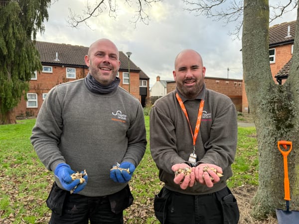 Newtide Homes neighbourhood officers Simon Ford and Jason Brett plant bulbs at a Flagship-owned green space off Bloomfield Street, Ipswich.