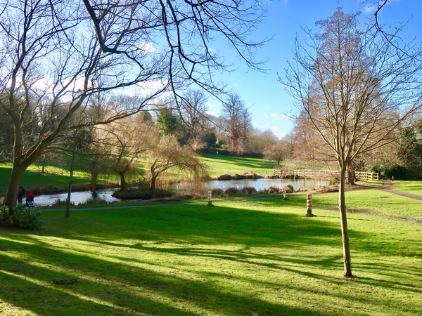 A sunny day in Holywells Park, featuring grass and a pond