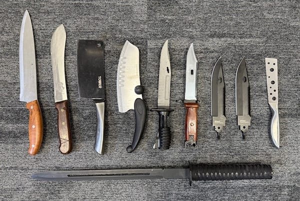 A selection of the knives collected from the amnesty bin on Queen's Way in Ipswich