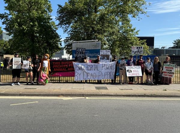 Animal rights protestors gathered outside Ipswich Hospital