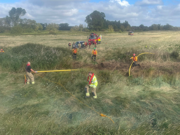 Fire crews working to save a cow in Rendlesham